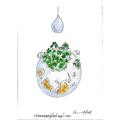 Reham Hassan Mohsen 29x21cm Original Cartoon BOD00153