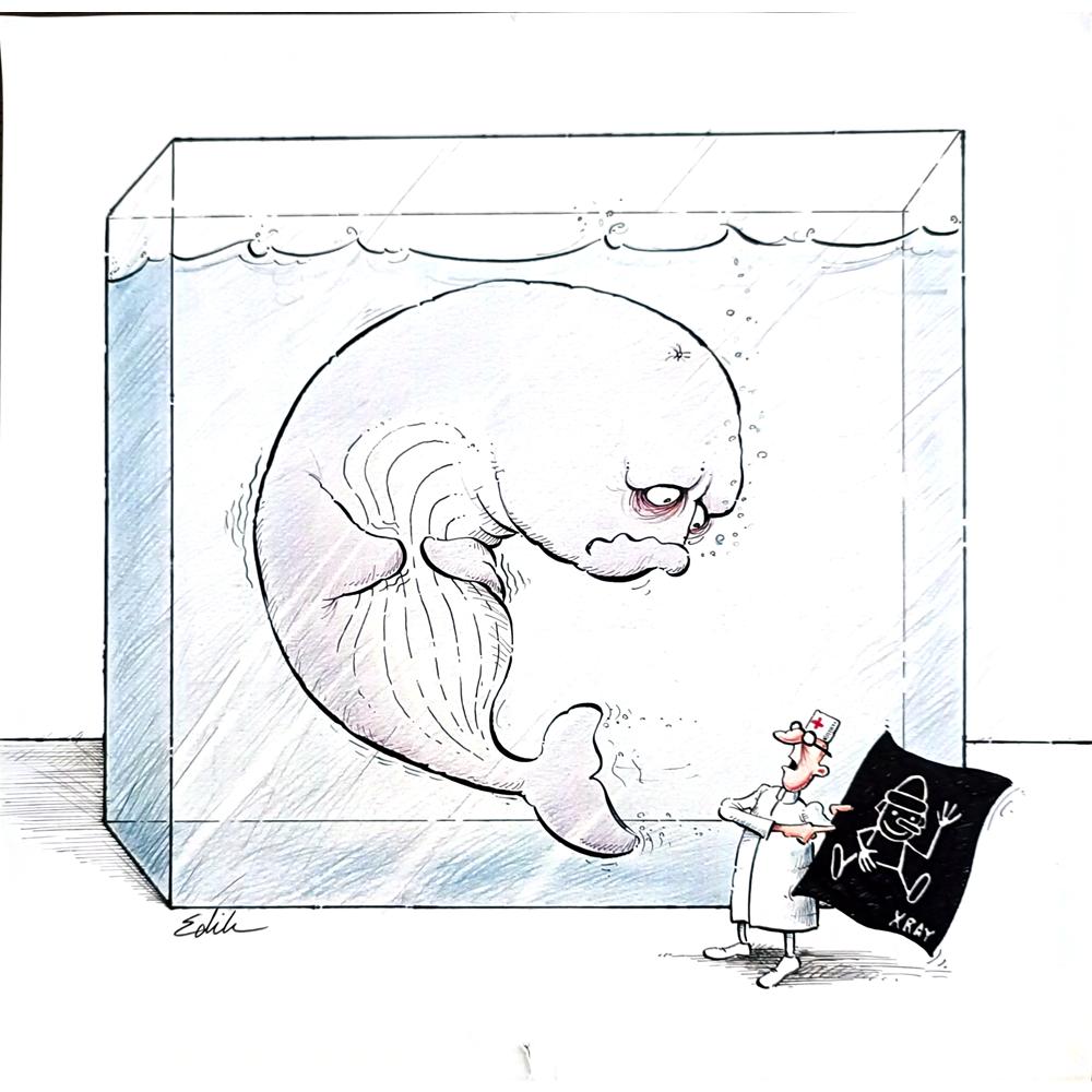 Edik Boghosian Korakaki 28x27cm Original Cartoon BOD00281